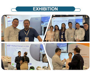 Almacén UE/EE. UU. <span class=keywords><strong>Planta</strong></span> a granel Extracto Fabricación Suministro Hierro 20%-30% CAS 20150-34-9 Polvo de glicinato ferroso - Product Image 3