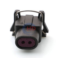 Conector automático de 2 pines, arnés de cables eléctrico impermeable, Conector de enchufe de inyector de combustible para Delphi Packard