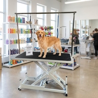 Table de toilettage pour animaux de compagnie, table de beauté électrique avec levage hydraulique, table de beauté imperméable pour animaux de compagnie, table de beauté universelle pour chiens et chats, table de beauté circulaire à levage pneumatique
