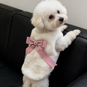 Pull en polaire pour chien, blanc et rose, avec nœud décoratif, vêtements pour animaux de compagnie, automne-hiver - Product Image 3