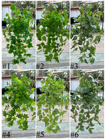 Daun Anggur Buatan, Tanaman Rambat Scindapsus, Tanaman Rambat Boston Ivy Palsu, Untaian Tanaman Rambat untuk Dekorasi Rumah dan Pesta