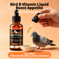 Multivitamine liquide OEM pour pigeons de course, coqs de combat, volailles, perroquets, gouttes de vitamine B complexe avec compte-gouttes, flacon ambré
