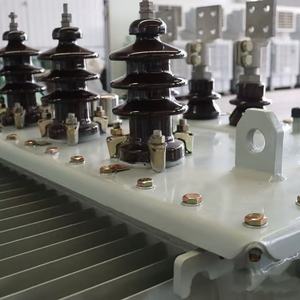 Transformadores de Potencia Sumergidos en Aceite para Exteriores de Media y Alta Tensión Hongwei Factory 50HZ 315KVA 13.2kv O.4kv - Product Image 6