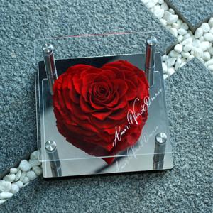 Lovebay, venta al por mayor, lujo, grandes rosas eternas, flores preservadas, <span class=keywords><strong>regalo</strong></span> de San Valentín, rosas preservadas reales para siempre en caja acrílica - Product Image 1