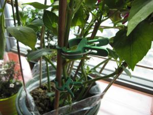 HUGELEAF Accessoires de jardinage modernes en PP vert, clips de soutien pour plantes de tomates avec piquets en <span class=keywords><strong>bambou</strong></span>, <span class=keywords><strong>cage</strong></span> et treillis, modèle HLGA1020 - Product Image 5