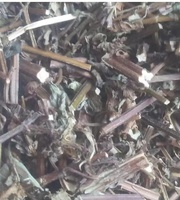 Grande quantité de tisane de mélisse emballée en vrac Vente en gros d'herbes chinoises Mélisse séchée