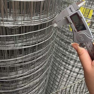 SS304 <span class=keywords><strong>SS316</strong></span> thép không gỉ hàn dây lưới cho Lồng Lưới - Product Image 4