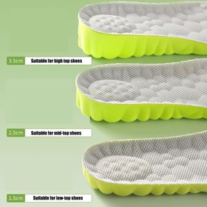 Semelles intérieures en mousse à mémoire de forme à l'armoise, respirantes, absorbantes, antichoc, pour la course et le sport, pour des pieds sains - Product Image 4