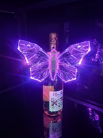 Bouteille de champagne LED papillon en acrylique transparent rechargeable, glorificateur de bouteille VIP pour boîte de nuit