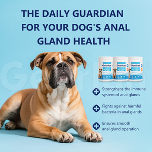 Suplementos Probióticos para Mascotas al por Mayor OEM, Fortalecen el <span class=keywords><strong>Sistema</strong></span> Inmunológico, Promueven la Salud <span class=keywords><strong>Intestinal</strong></span>, Golosinas Masticables Suaves para Glándulas Anales de Perros - Product Image 2