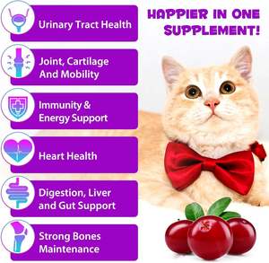 Suplemento de Antibióticos Naturales para Gatos, Gotas Líquidas con Prebióticos para el Alivio de la Picazón por Alergias, Apoyo Inmunológico, Problemas de la Piel y <span class=keywords><strong>UTI</strong></span> - Product Image 6