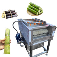 Industriële elektrische wolrolwasser, multifunctionele gember-, cassave-, taro- en aardappelschilmachine