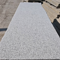 Dalles de pierre de granit naturel blanc sésame, finition martelée texturée, durables, modernes, taille personnalisée, pour pavage de place publique
