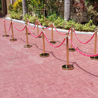 Récompenses de fête d'événement traditionnel 6 pièces ensemble tapis rouge velours suspendu balustrade barrière poteau corde poteau et cordes
