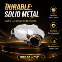 Catalizador de tres vías de acero inoxidable 409L de alta calidad OEM ODM al por mayor, actualización/actualización de diésel compatible con Euro V para importados