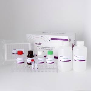 Kit de l'anticorps ELISA de <span class=keywords><strong>REV</strong></span> (96T) | CE certifié | Test de sérum aviaire | Commande en gros disponible - Product Image 3