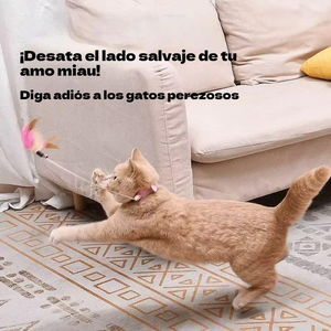 Jouet pour chat Pluma & Campana avec plumes naturelles et clochette, bâton léger et flexible pour jouer en intérieur - Product Image 2