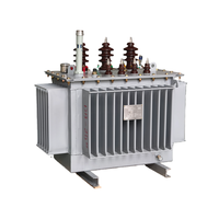 Transformador de Distribución Trifásico Sumergido en Aceite ONAN de 50 kVA, 80 kVA, 100 kVA, 160 kVA, 11 kV, 480 V, Modelo S13, Marca PKNY