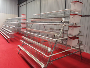 Pondoir pour 5000-10000 poulets, type A, structure en H, 3 niveaux, 4 étages, cage à batterie avec échelle, cage à poules pondeuses galvanisée, système d'abreuvement et d'alimentation - Product Image 4