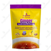 WELLBODY Thé Détoxifiant Doux au Gingembre avec Graines de Lin, Ananas et Cannelle pour un Soutien Digestif Naturel et une Détoxification pour Adultes