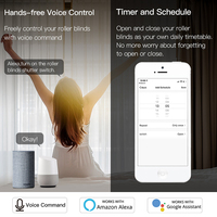 Alexa ESP8266 Smart 2 bandas Tuya Zigbee 3,0 inalámbrico interruptor de pared para automatización