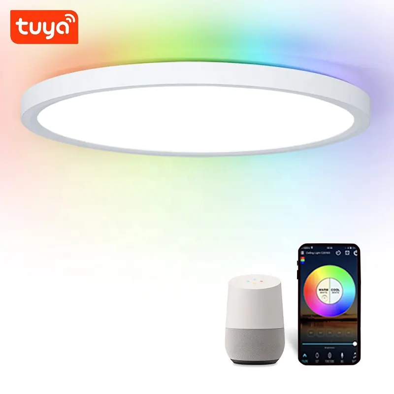Illuminazione ambientale domestica moderna intelligente 300mm 24W APP Tuya Alexa plafoniere a LED controllate per soggiorno e camera da letto