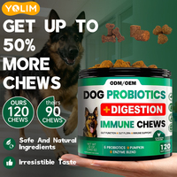 Échantillon gratuit aide à soulager les maux d'estomac Soins de santé et compléments alimentaires pour animaux de compagnie Probiotiques pour chiens pour la santé digestive