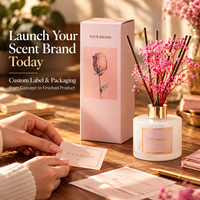 Diffuseur de parfum d'ambiance haut de gamme écologique sans alcool en verre dépoli rose avec fleurs séchées et col doré pour la maison