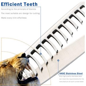 Ciseaux à effiler professionnels Obexa 6.5 pour droitiers, à lame affûtée, en acier inoxydable, pour la texture et le mélange précis des cheveux en salon de coiffure - Product Image 4