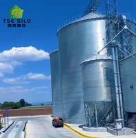 Büyük Ölçekli Düz Tabanlı Tahıl Depolama Silosu Oluklu Galvaniz Çelikten Tahıl Deposu ve Lojistik İçin 3000-20000 Ton