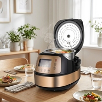 Autocuiseur multifonction 16-en-1 personnalisé avec logo de marque, cuiseur lent, cuiseur à riz faible en glucides, 5 litres, vente en gros