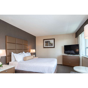 أفضل مجموعة أثاث غرف نوم فندقية فاخرة من فئة 5 نجوم من بيست ويسترن بريمير، تصميم خشبي حديث مخصص في الولايات المتحدة - Product Image 6