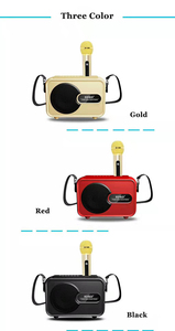 SD502/SD501 10W <strong>Wireless</strong> Speaker System with Type C Connector KTV Karaoke <strong>Microphone</strong> for Conference Use - Product Image 4