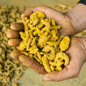 Polvo de curcumina de cúrcuma, colorante amarillo a granel, suministro del fabricante