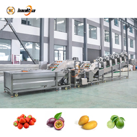 800-1200kg/uur Groente- en fruitwasserlijn Aardbei Appel Citroen Avocado Passievrucht Wasmachine Groentewaslijn