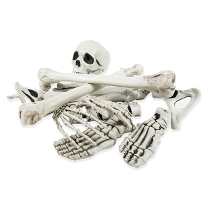 Cuộc Sống Kích Thước Halloween Skeleton Prop Đầy Đủ Cơ Thể Tháo Bung Cấu Trúc Xương Cho Trong Nhà Ngoài Trời Đáng Sợ Đảng Trang Trí - Product Image 2
