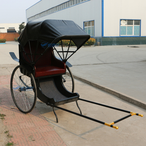 Carroza de Lujo Tipo Rickshaw, Carroza Real para Caballos en Venta, Transporte Especial, Carroza de 2 Ruedas para Poni, Rickshaw - Product Image 5