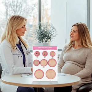 Model Dilatasi Serviks Jari 1-8 untuk Pengajaran Ilmu Kedokteran Ginekologi Wanita Hamil Melahirkan - Product Image 4