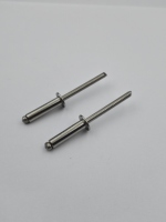 Rivets aveugles en acier inoxydable 304, sur mesure, de précision, non standard, pour l'industrie de la construction de conteneurs
