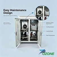 Integrierter 80g/h Ozongenerator mit 8% Konzentration, 380V Ozonisator für Abgasdämoniacentfernung & industrielle Abwasserbehandlung