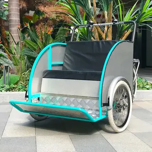 3 wheels electric rickshaw trike bakfiets pedicab rickshaw for carrying senior