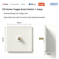 Interrupteur intelligent vintage rétro minimaliste T20 Tuya Zigbee 1 bouton, 4 options de finition pour la rénovation résidentielle haut de gamme B&B