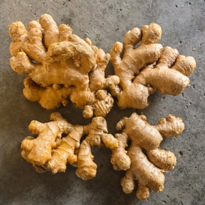 Fornecimento por Atacado de Gengibre Chinês de Alta Qualidade, Várias Especificações, Marca YONGJIANG, Gengibre Fresco Envelhecido, Exportação Guangxi 2026 - Product Image 2