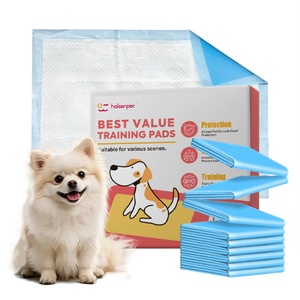 Tapis d'apprentissage jetables anti-odeur pour chiots, petit MOQ, prix direct usine pour achat en gros, tapis absorbant pour chien - Product Image 1