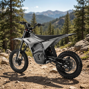 Venta de Fábrica: Nuevo Motor Eléctrico Industrial Sin Escobillas con Engranajes EM5 Dirk de 48V 2500W, de Acero Inoxidable, para Bicicletas de Montaña Eléctricas Juveniles Todoterreno - Product Image 2
