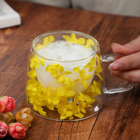 Mug à café à double paroi en verre borosilicate de 200 ml, design simple, mug à café en verre à double paroi, mug en verre à double paroi avec fleurs séchées
