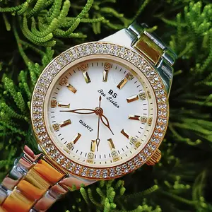 Небольшой минимальный заказ, часы Bs Bee Sister для женщин, модные высококачественные повседневные водонепроницаемые женские кварцевые часы, подарок для жены