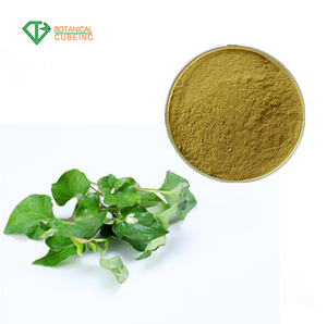 Yu Xing Tiêu Chuẩn GMP Cao Tự Nhiên Houttuynia Cordata/Natri Khô Houttuyfonate Chiết Xuất Bột - Product Image 2