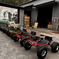 Voiture électrique tout-terrain 48V pour adultes, buggy de plage électrique avec gros pneus, kart de course tout-terrain pour aventures en montagne