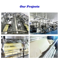 Automatische productielijn voor aardappelchips/poeder 600-3000kg/u met geavanceerde dubbeltrommeldroger en stoomschillen